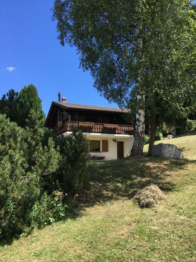 Ferienwohnung Im Chalet Firn - Og Burchen Exterior photo